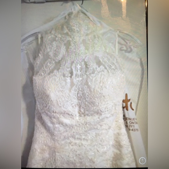 Pronovias Designer Wedding Dress - Picture 2 of 8